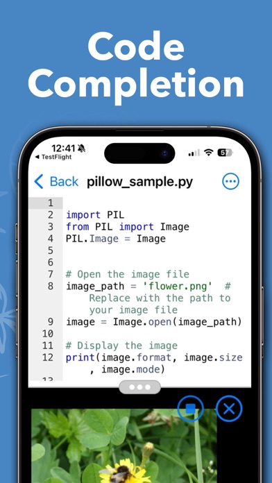 Python source and an image result in the iPhone app